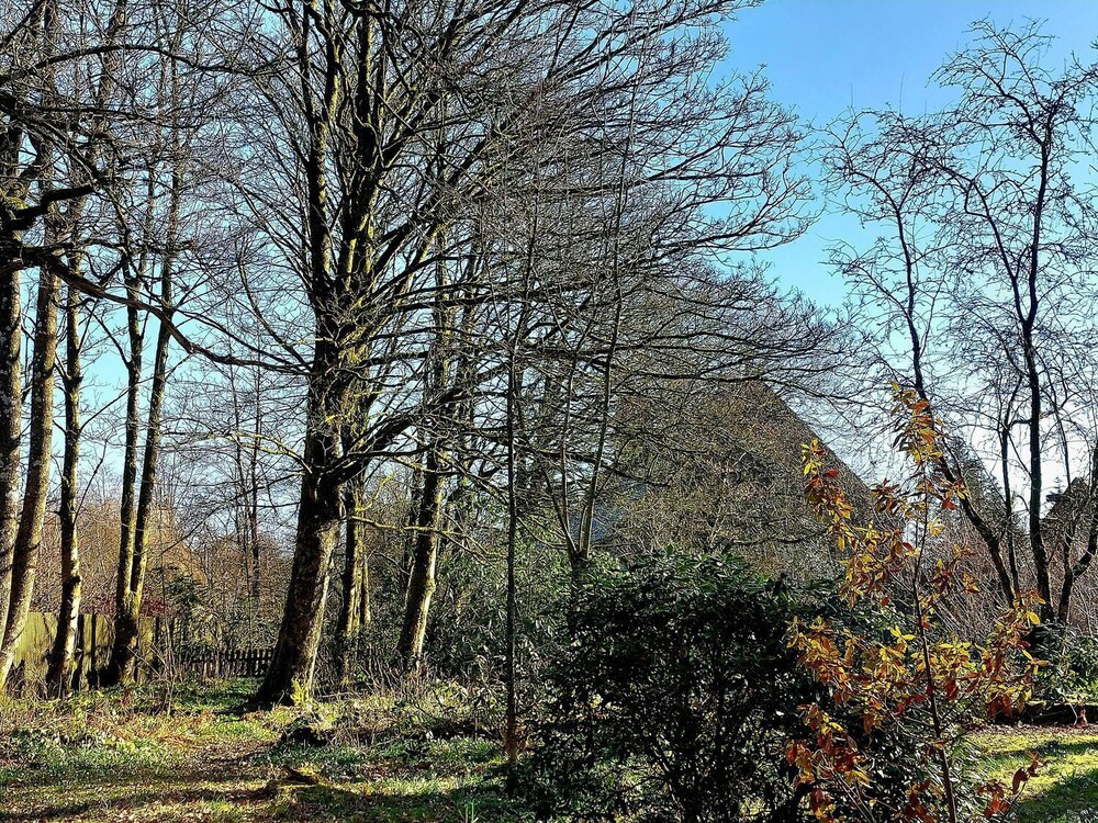 The Coach House- Canonbie