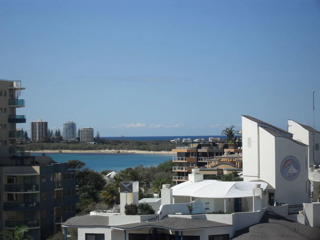 Pandanus Mooloolaba