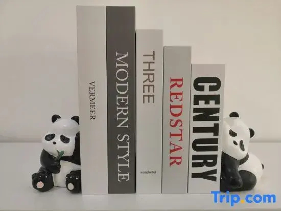 Yunya Creative Suite Homestay (Chengdu Panda Base Store