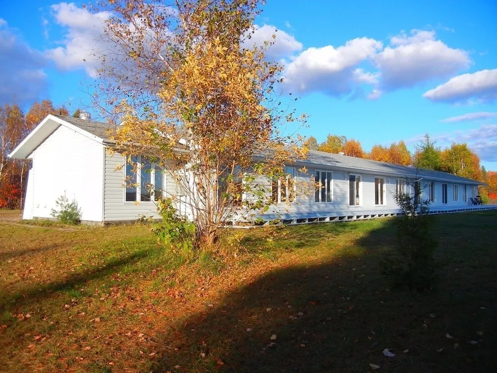 Shores of Deer Lake