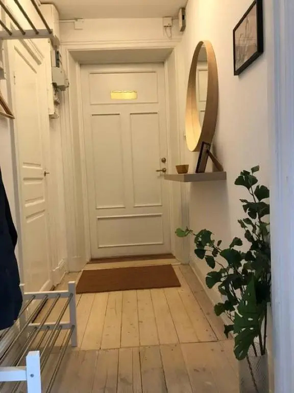 Bohemian and light one room apartment in SoFo 31sqm