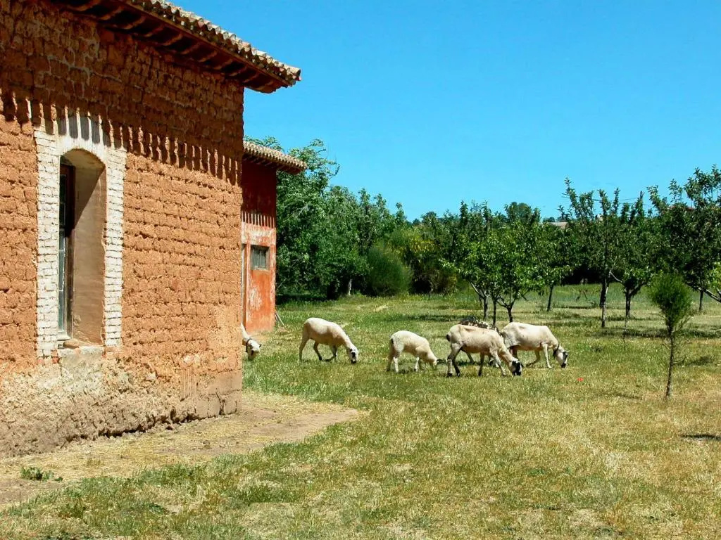 La Casa Grande de Gormaz