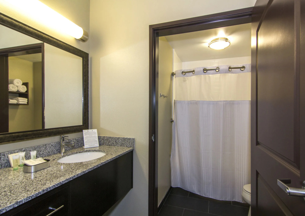 Holiday Inn Carlsbad by IHG