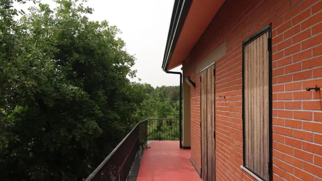 Le Tre Rose Di Maria