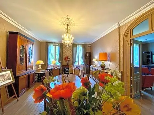 Demeure Saint Louis Historic manor, City 700m, free parking,A C,Clim,WIFI, city view, Garden
