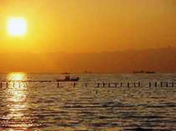 Shineikan