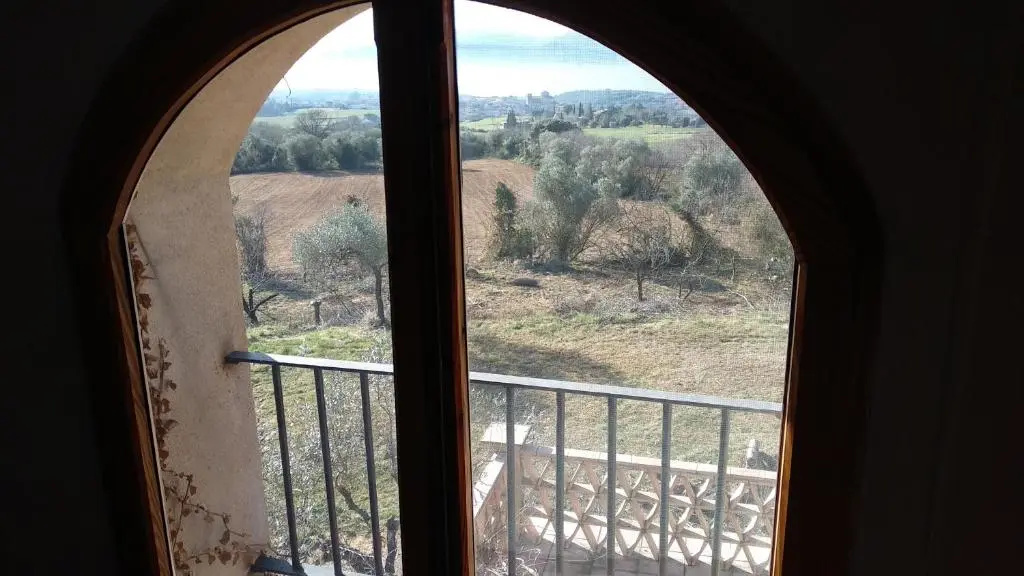 La casa de lAvi