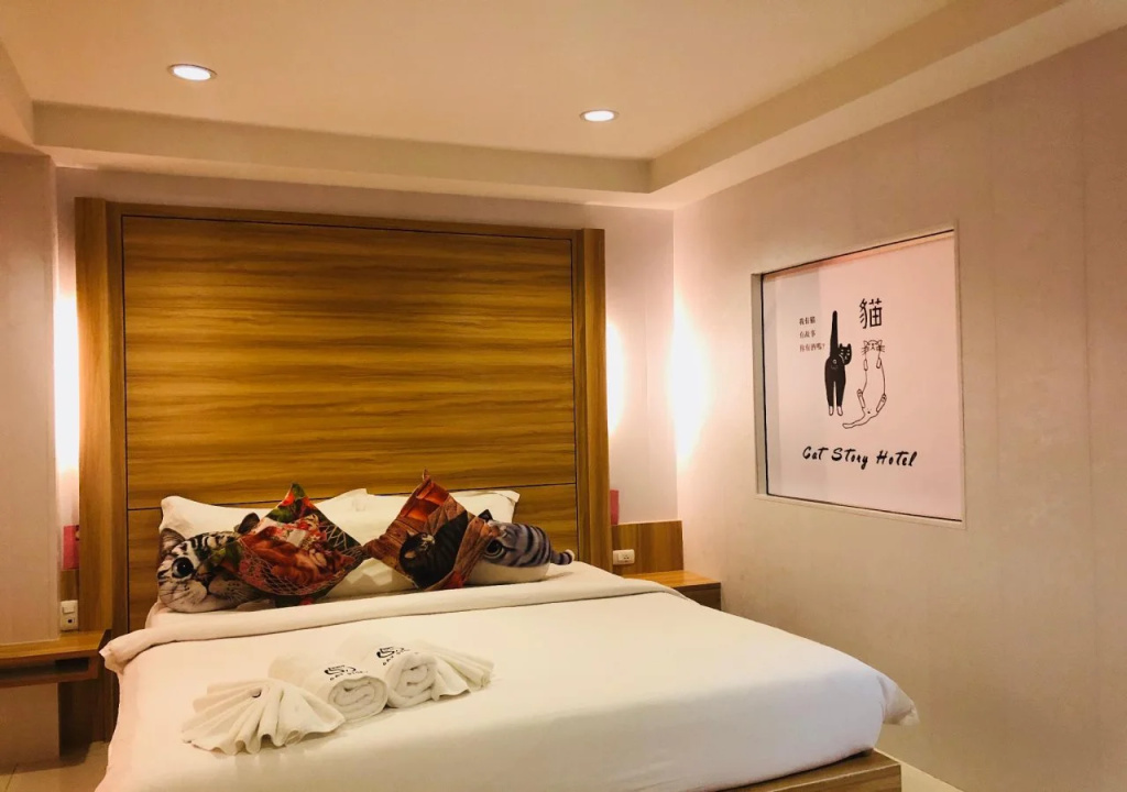 Cat Story Hotel