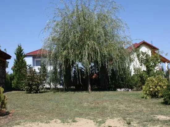 Apartman Mercédesz I.