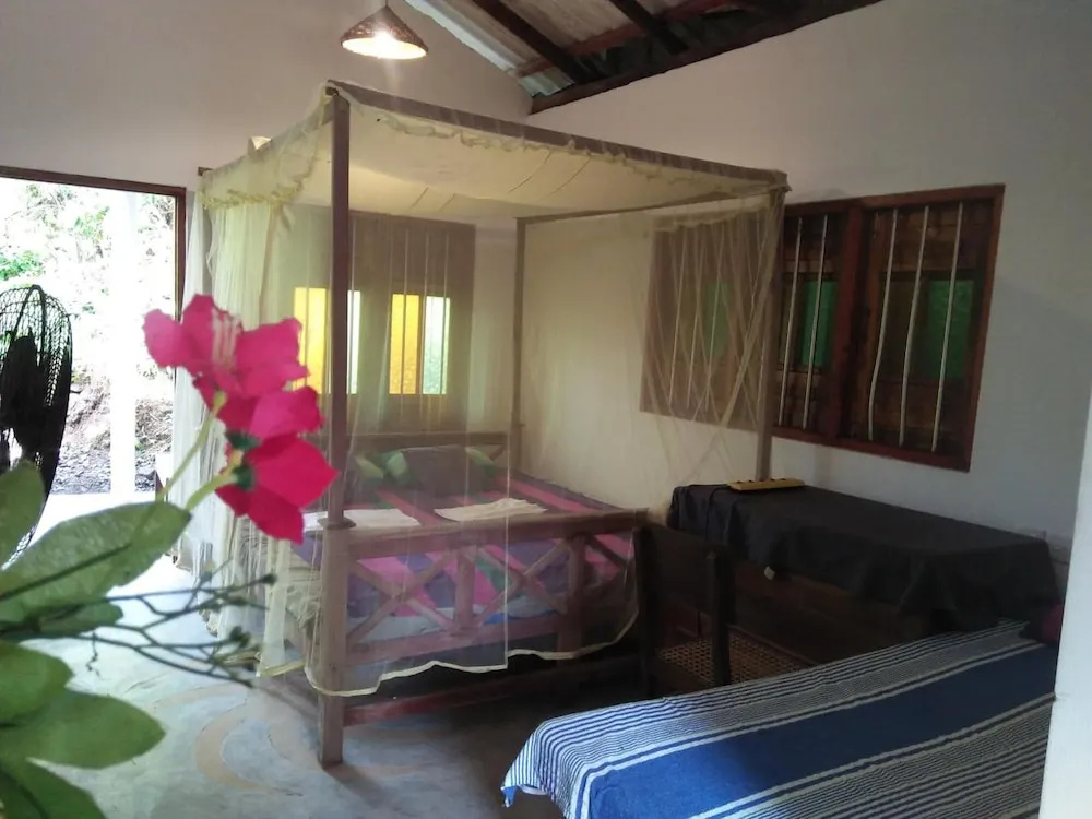 Jungle house