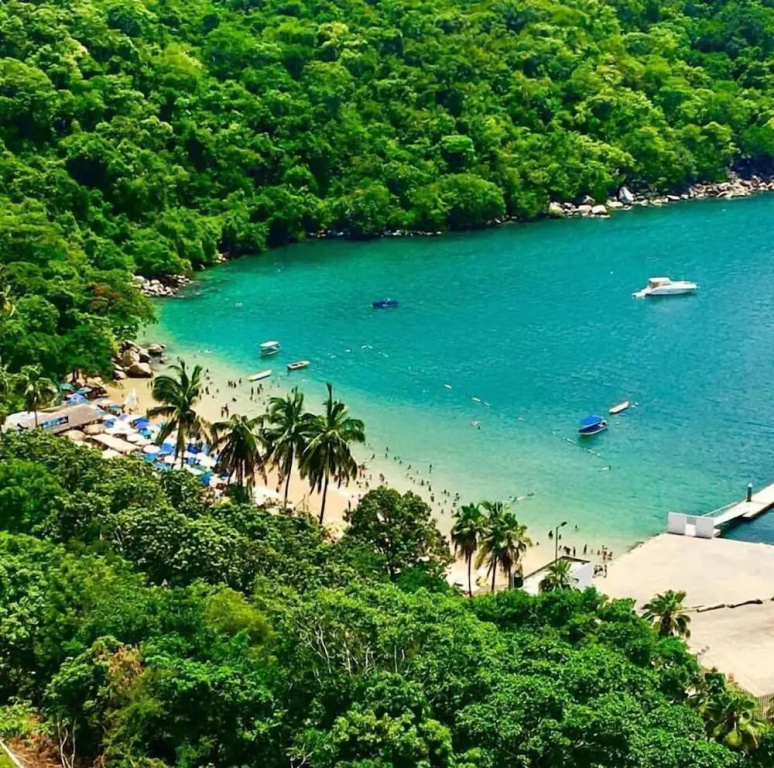 Acapulco Amor