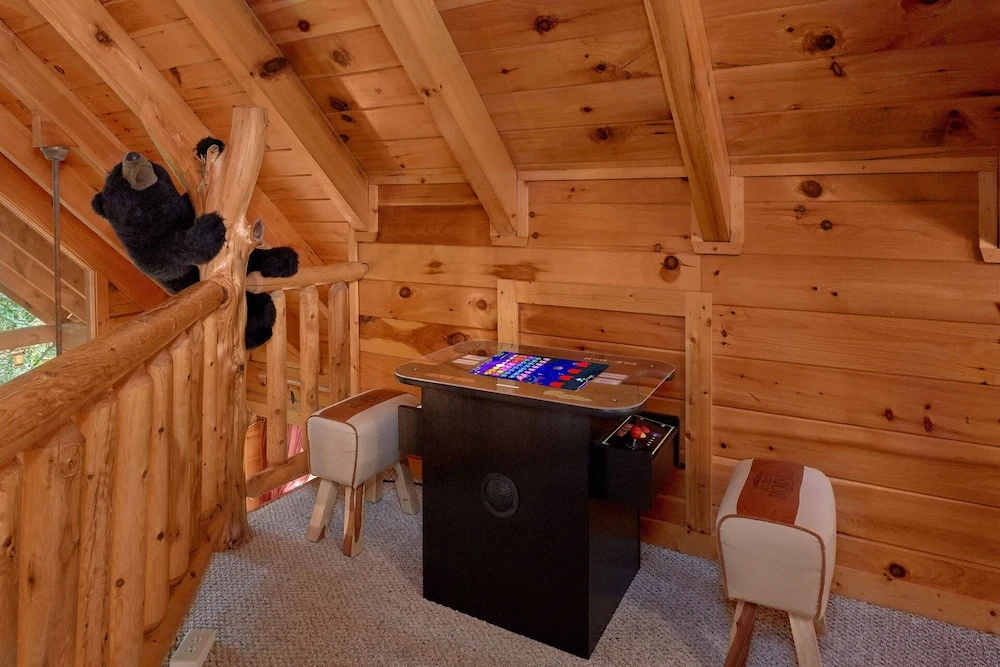Catch Me If You Can - 1 Br Cabin