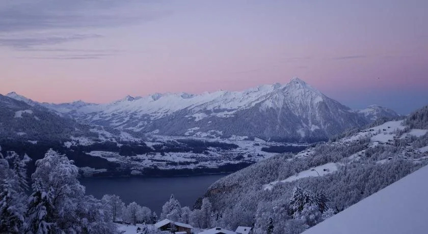 Swiss Lakeview Apartment
