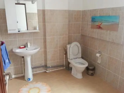 Hostel Andrei