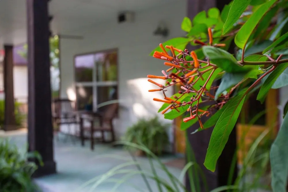 Brava House Bed and Breakfast