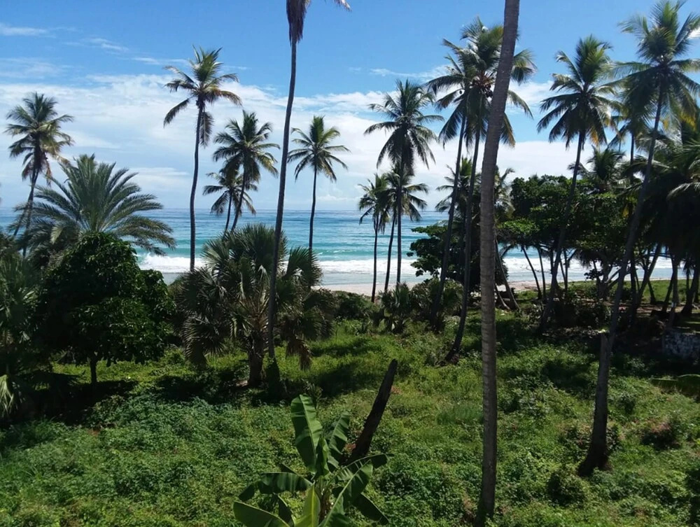 Oasi Encantada - Beach Resort