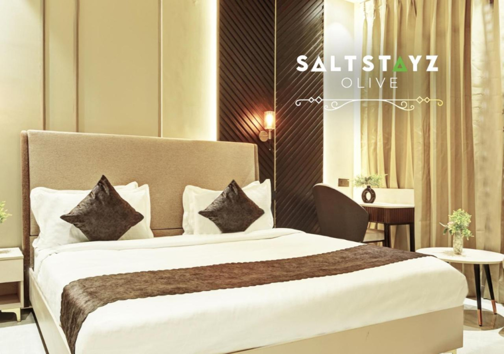Saltstayz Select - Pitampura