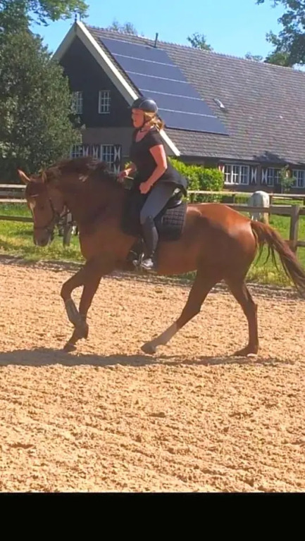 Erve Het Roolvink Boerderij Appartementen 40-50 M2