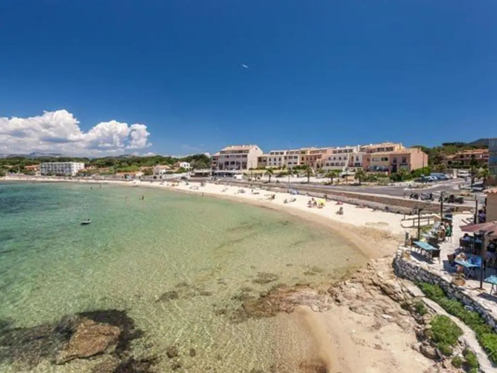 Appartement Six-Fours-les-Plages, 2 pièces, 2 personnes - FR-1-316-293