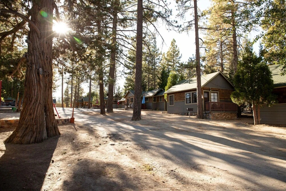 Lupine-106 by Big Bear Vacations