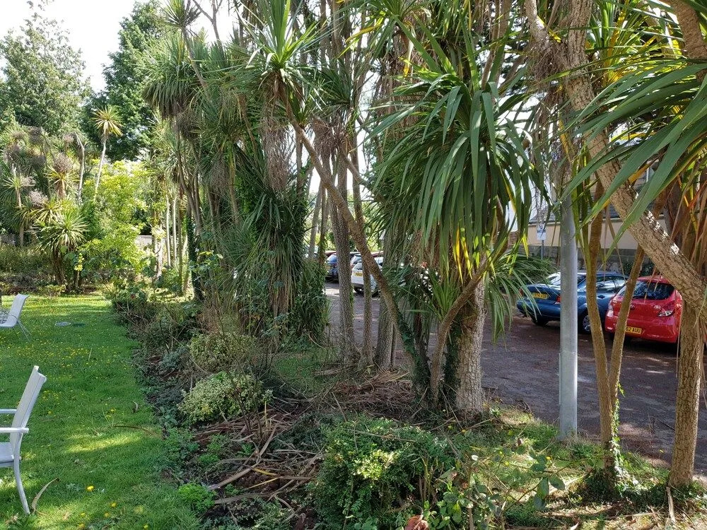 The Sherwood Palm Hotel, Torquay Beach