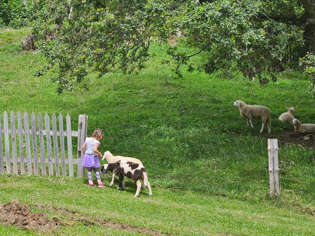 Tourist Farm Pr'Dovar