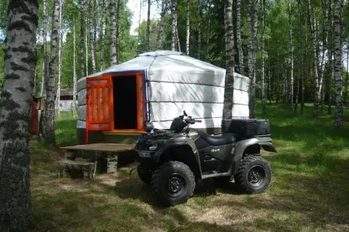 Wildlive Adventures