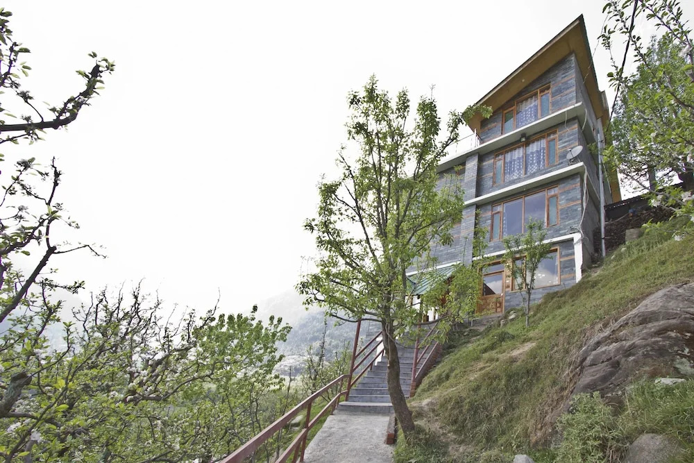 OYO 8724 Vashisht