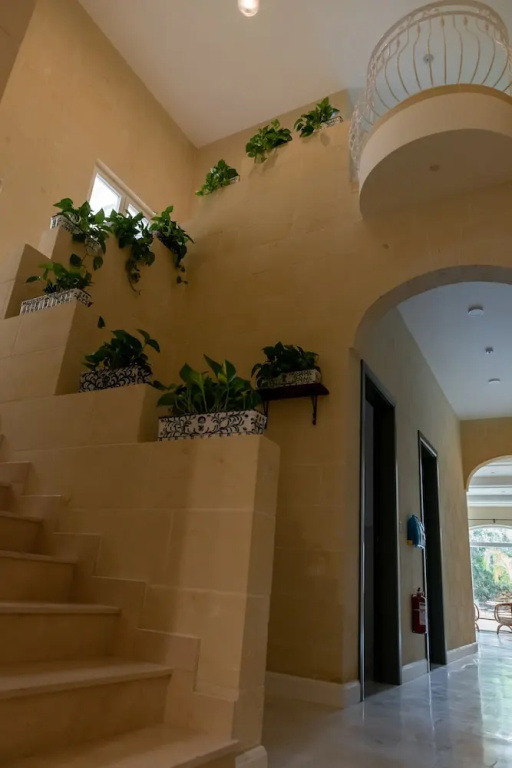 The Carob Tree B&B