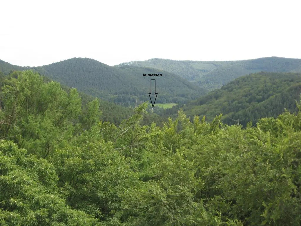 Le Wineck