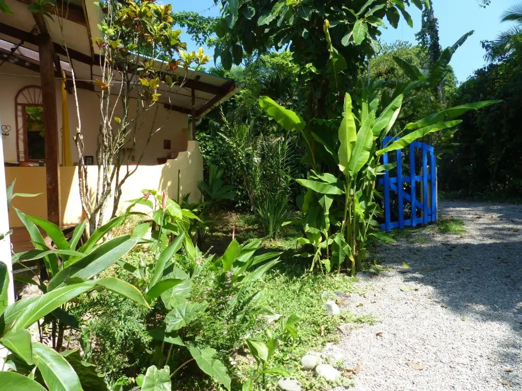 Cabinas Montesol