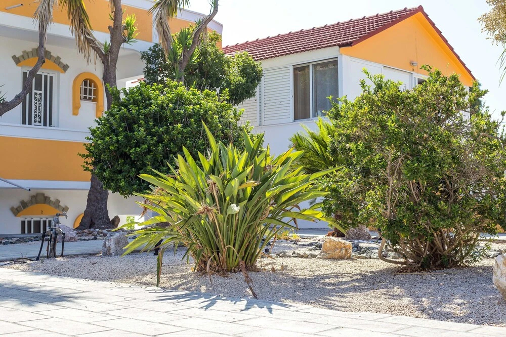 Erik Studios