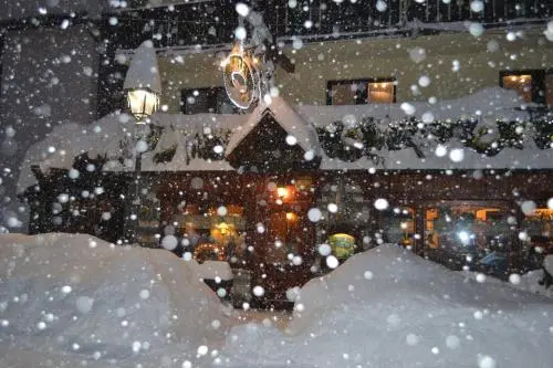 Hotel Perruquet