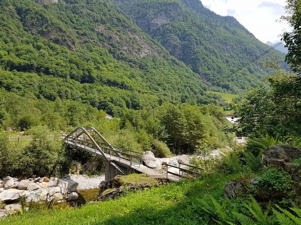 Ristorante Garni Lavizzara