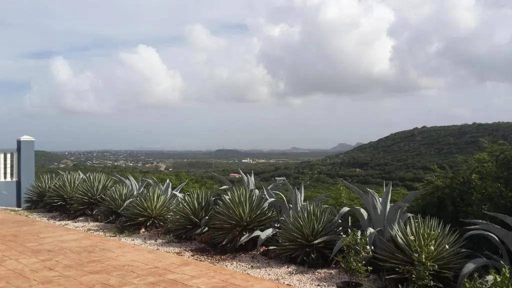 Great Hill View Apartment