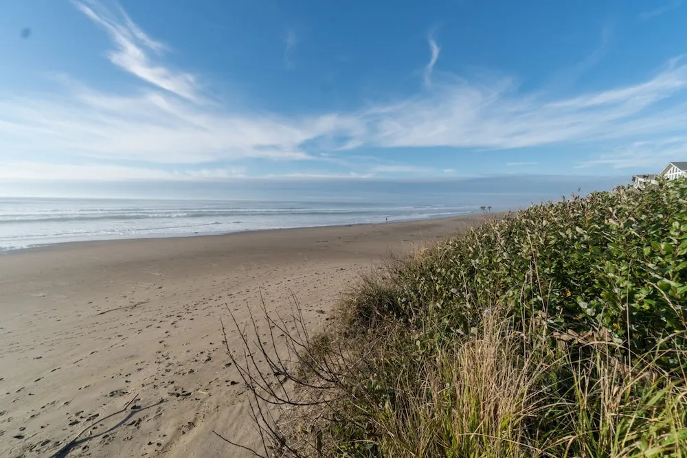 Oceanfront Oasis