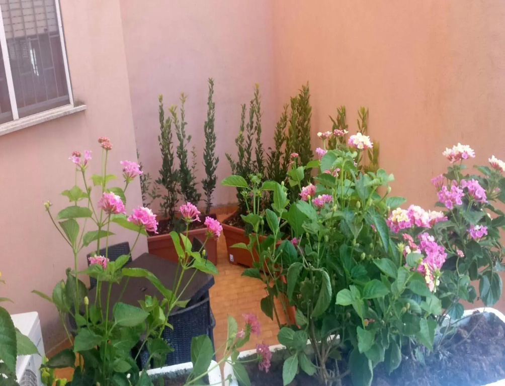 Il Giardino Di Adriana