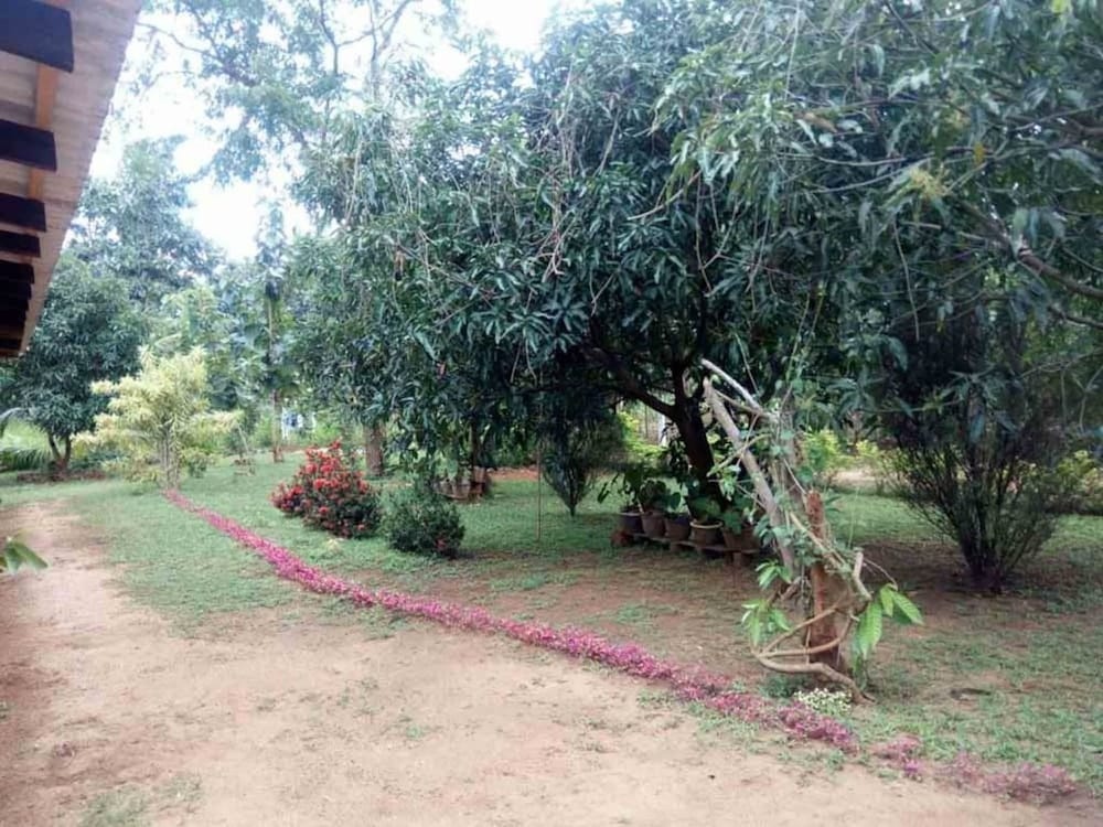 Yoho Mango Tree Home Stay & Hostel