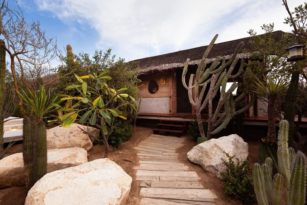 El Perdido Desert Dream- Todos Santos Adults Only