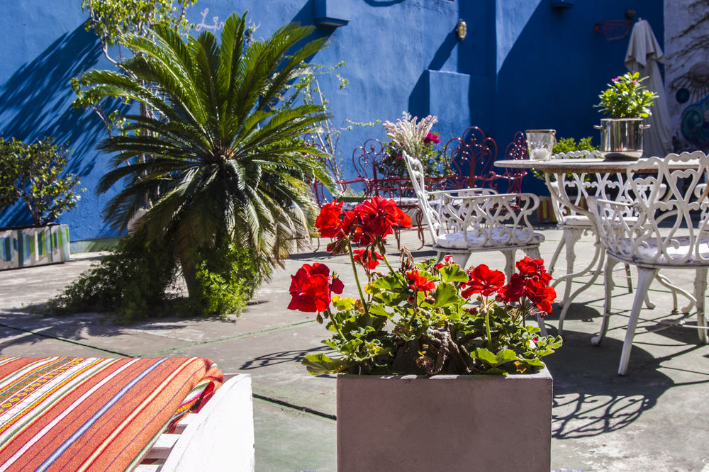 Livian Guest House