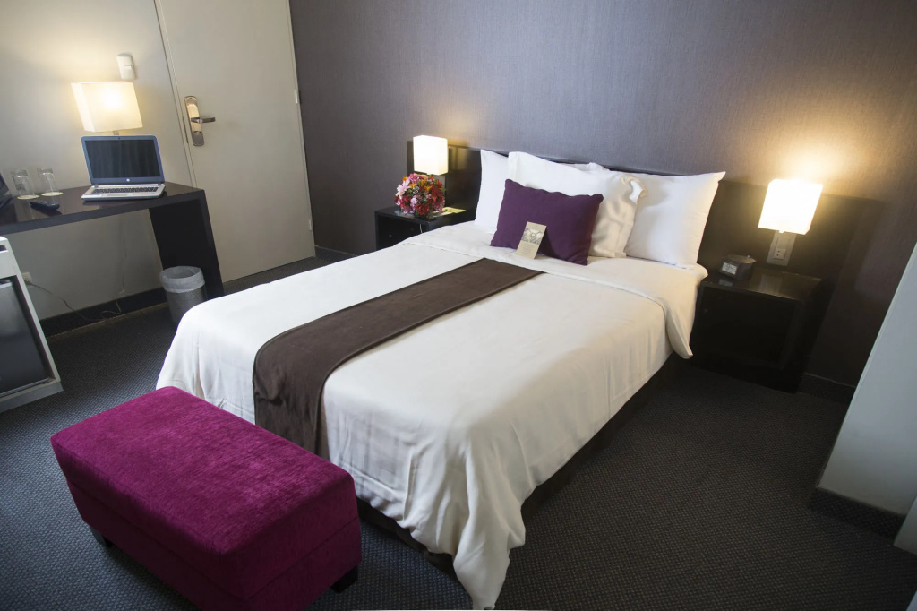 Palmetto Hotel Business San Borja