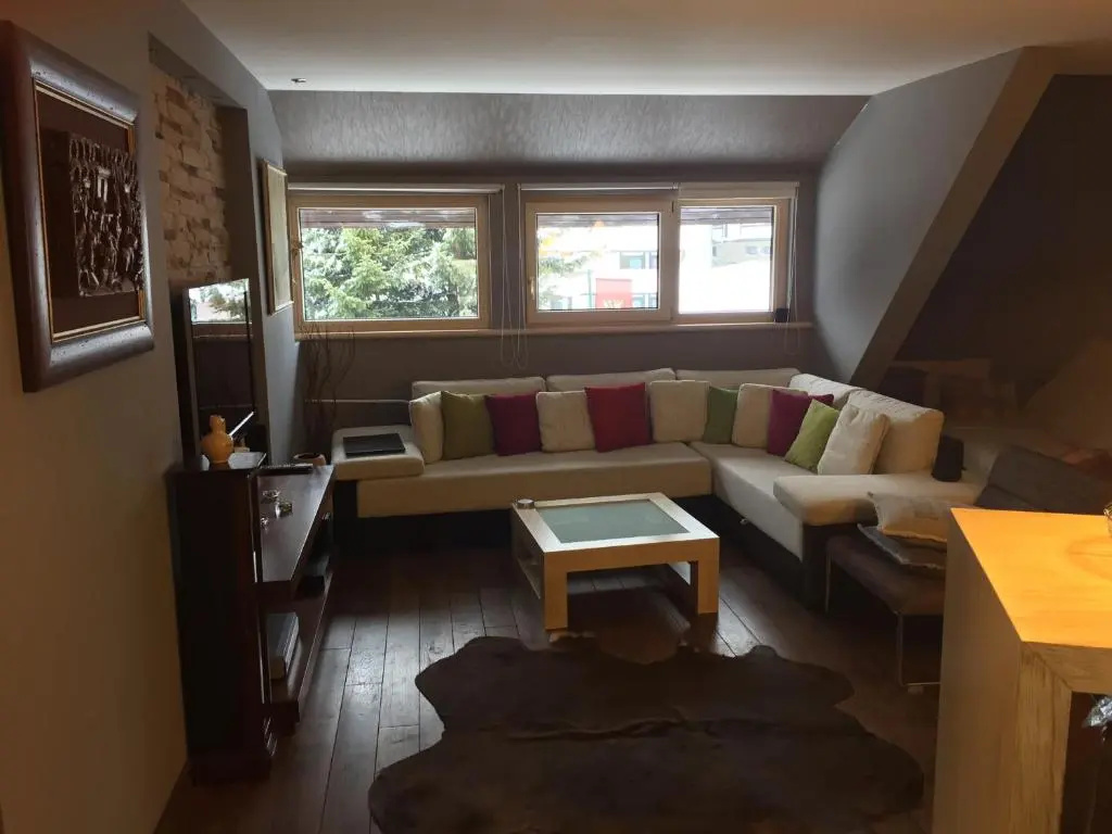 SKI MONTIS apartmani - Kopaonik centar