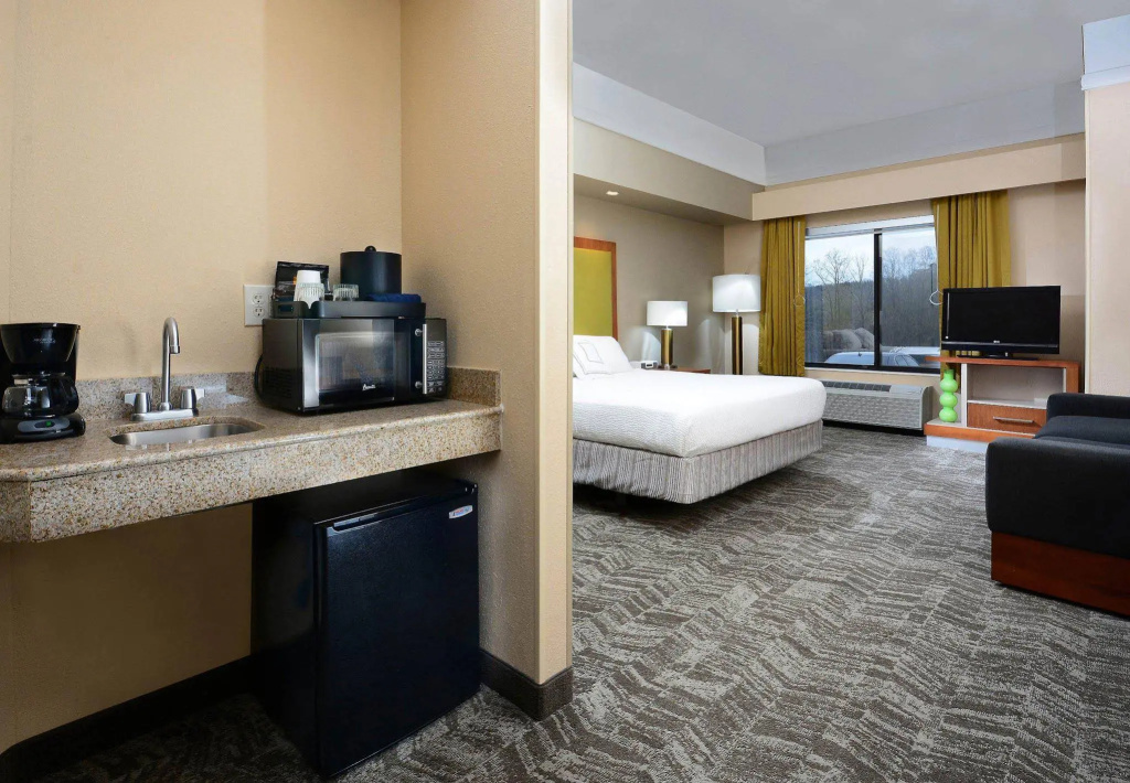 SpringHill Suites by Marriott Lynchburg Airport/University Area