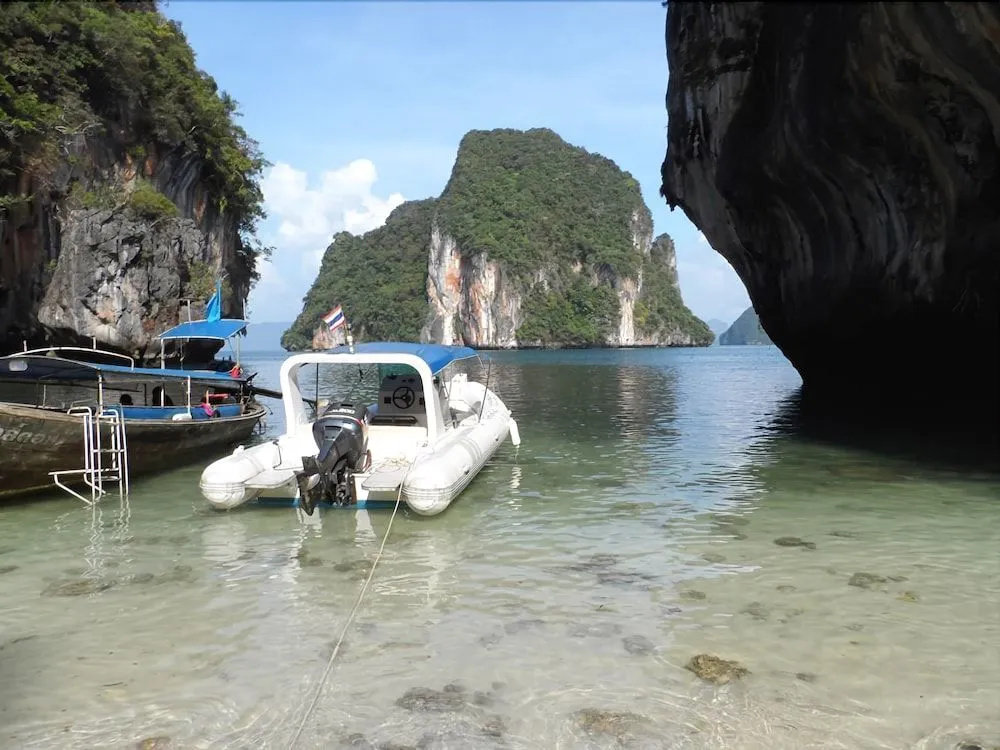 PARADIS VERT