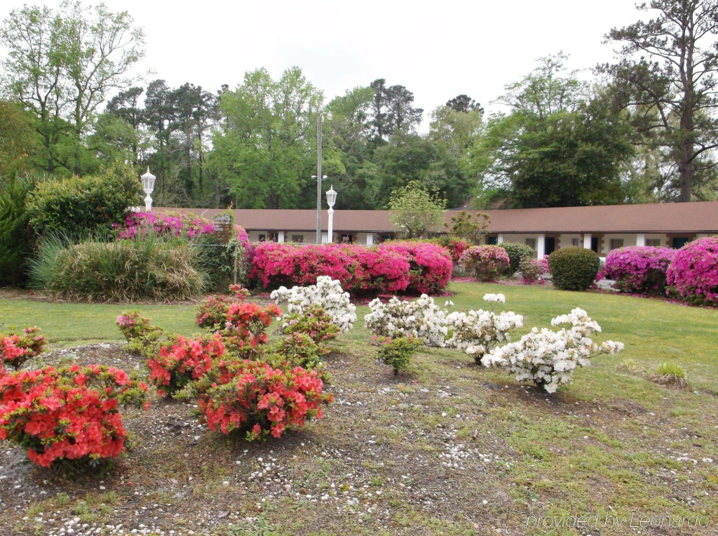 Azalea Inn & Suites