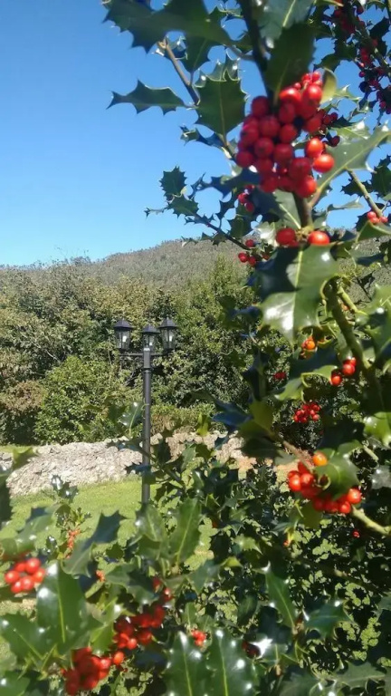 Posada El Trasmerano