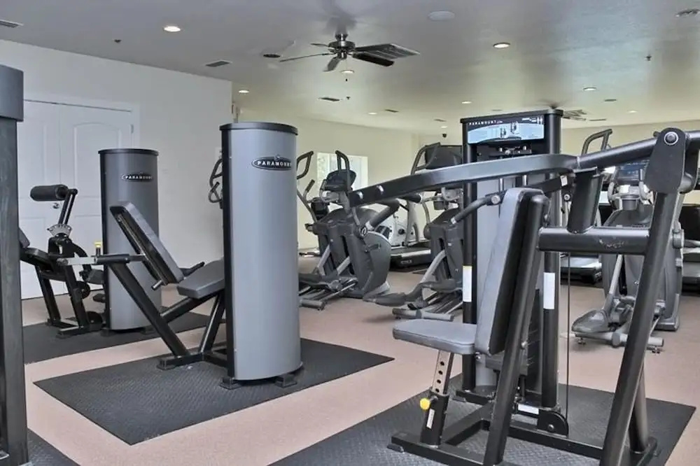 One Club 3405 By Youngs Suncoast