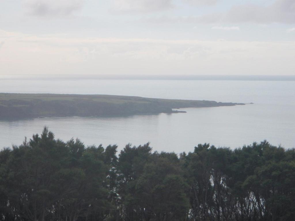 Nga Puriri Bed and Breakfast