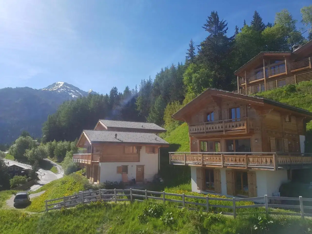 Chalet Petit-sapin - Inh 24833