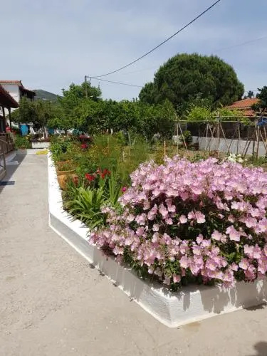 Asiminas House
